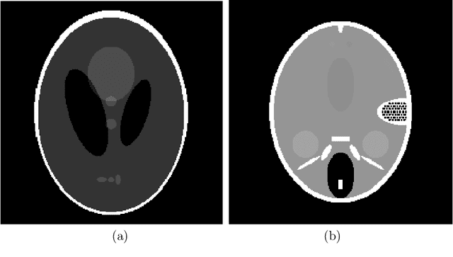 Figure 4 for A fast nonconvex Compressed Sensing algorithm for highly low-sampled MR images reconstruction