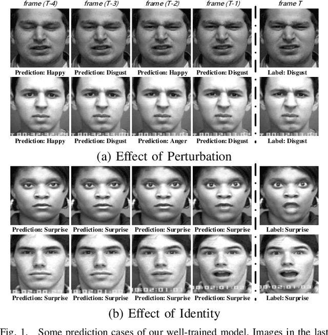 Figure 1 for Semantic Neighborhood-Aware Deep Facial Expression Recognition