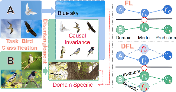 Figure 1 for Disentangled Federated Learning for Tackling Attributes Skew via Invariant Aggregation and Diversity Transferring