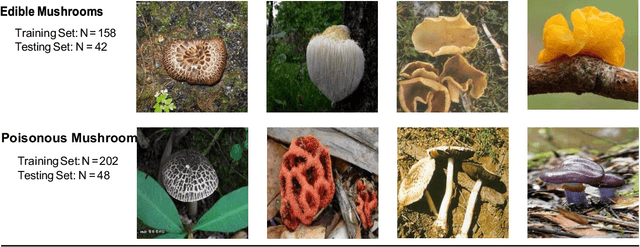 Figure 1 for Using deep convolutional neural networks to classify poisonous and edible mushrooms found in China
