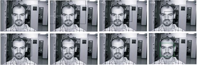 Figure 2 for Active Testing for Face Detection and Localization