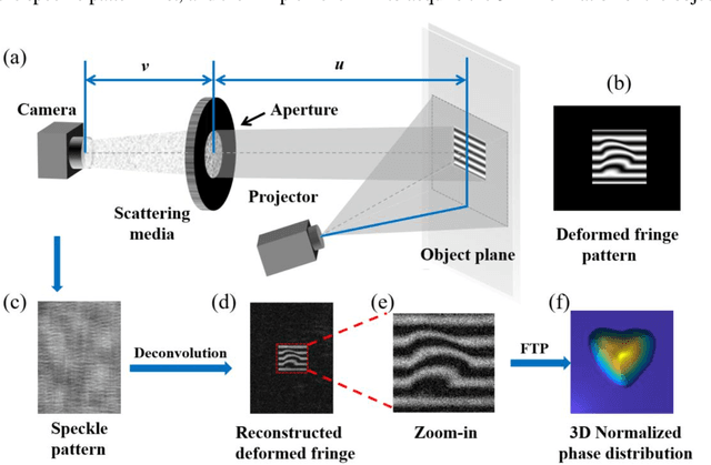 Figure 1 for Single-shot fast 3D imaging through scattering media using structured illumination