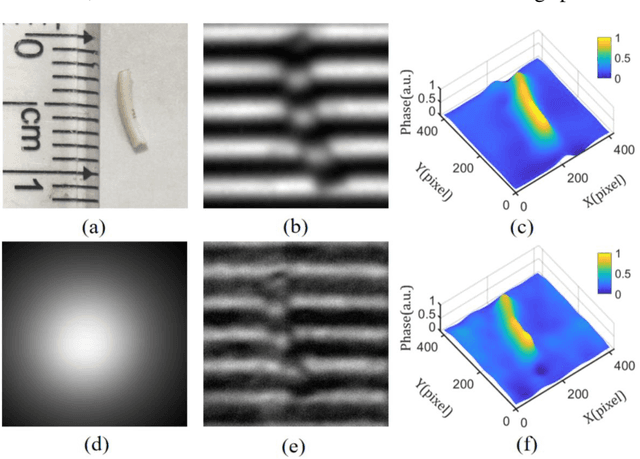 Figure 2 for Single-shot fast 3D imaging through scattering media using structured illumination