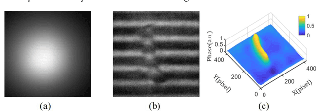 Figure 3 for Single-shot fast 3D imaging through scattering media using structured illumination