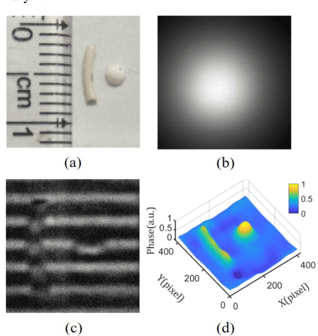 Figure 4 for Single-shot fast 3D imaging through scattering media using structured illumination