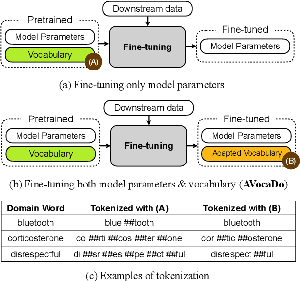 Figure 1 for AVocaDo: Strategy for Adapting Vocabulary to Downstream Domain