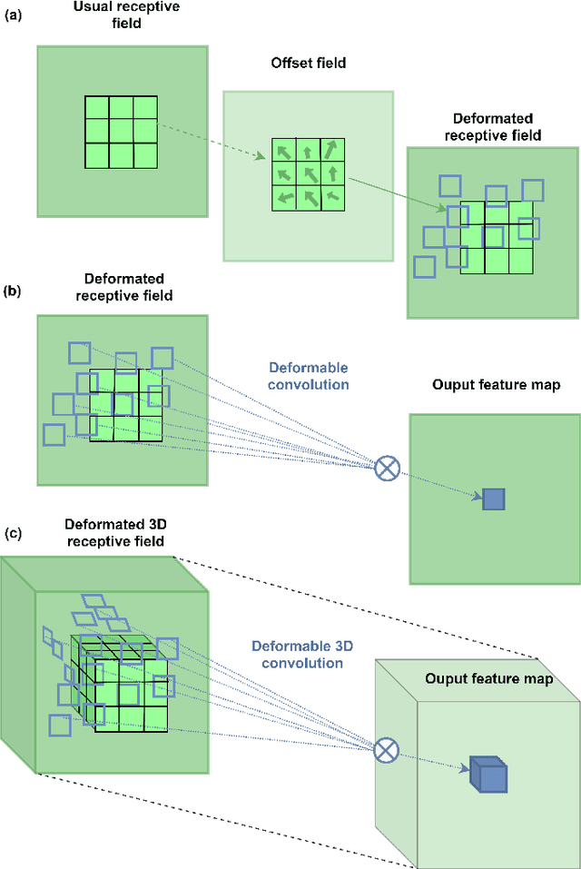 Figure 2 for 3D Deformable Convolutions for MRI classification