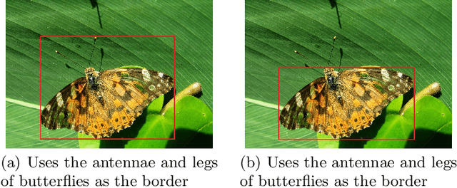 Figure 3 for Butterfly detection and classification based on integrated YOLO algorithm
