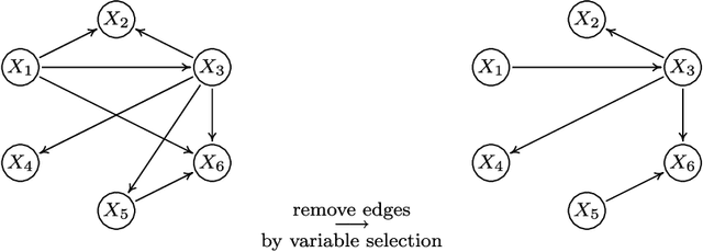 Figure 3 for CAM: Causal additive models, high-dimensional order search and penalized regression