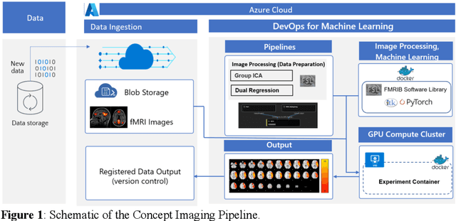 Figure 1 for Deep Labeling of fMRI Brain Networks Using Cloud Based Processing