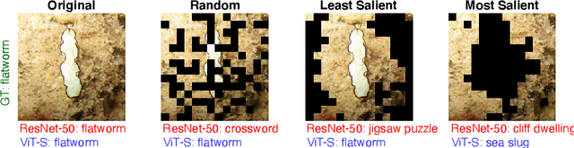 Figure 2 for Missingness Bias in Model Debugging