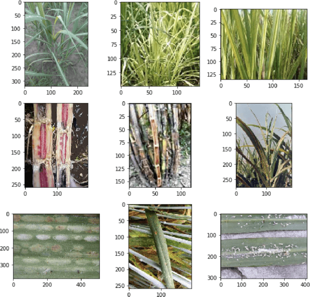 Figure 1 for SSM-Net for Plants Disease Identification in Low Data Regime