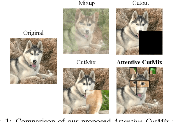 Figure 1 for Attentive CutMix: An Enhanced Data Augmentation Approach for Deep Learning Based Image Classification