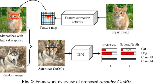 Figure 3 for Attentive CutMix: An Enhanced Data Augmentation Approach for Deep Learning Based Image Classification