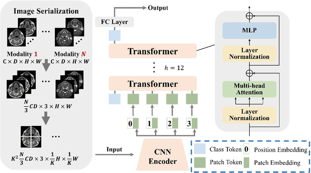 Figure 3 for TransMed: Transformers Advance Multi-modal Medical Image Classification