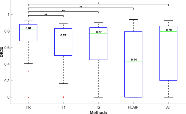 Figure 2 for Comparison of different automatic solutions for resection cavity segmentation in postoperative MRI volumes including longitudinal acquisitions