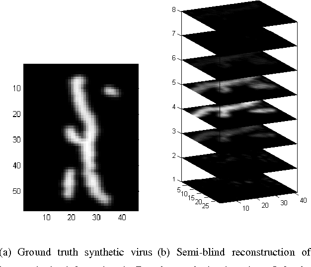Figure 3 for Semi-blind Sparse Image Reconstruction with Application to MRFM