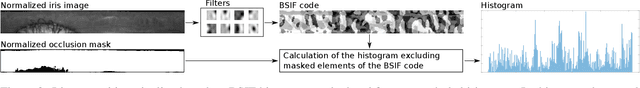 Figure 2 for Domain-Specific Human-Inspired Binarized Statistical Image Features for Iris Recognition