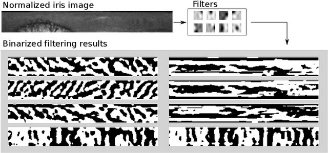 Figure 3 for Domain-Specific Human-Inspired Binarized Statistical Image Features for Iris Recognition