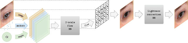 Figure 3 for DeepWarp: Photorealistic Image Resynthesis for Gaze Manipulation