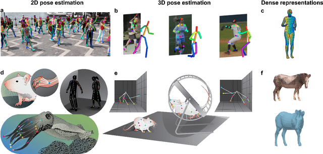Figure 1 for Deep learning tools for the measurement of animal behavior in neuroscience