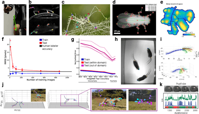 Figure 2 for Deep learning tools for the measurement of animal behavior in neuroscience