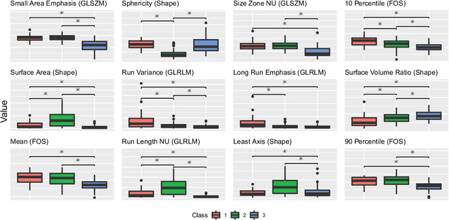 Figure 2 for A Radiomics Approach to Traumatic Brain Injury Prediction in CT Scans