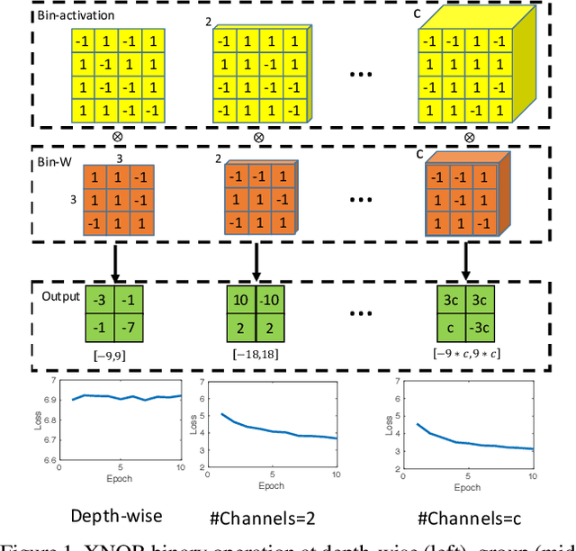 Figure 1 for Binarizing MobileNet via Evolution-based Searching