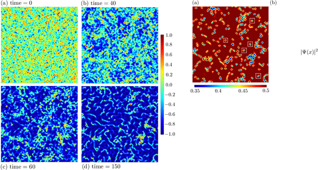 Figure 2 for Arrested phase separation in double-exchange models: machine-learning enabled large-scale simulation
