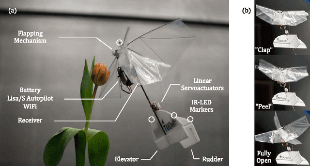 Figure 2 for First free-flight flow visualisation of a flapping-wing robot