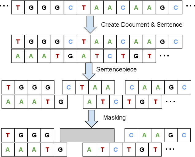 Figure 4 for Big Bird: Transformers for Longer Sequences