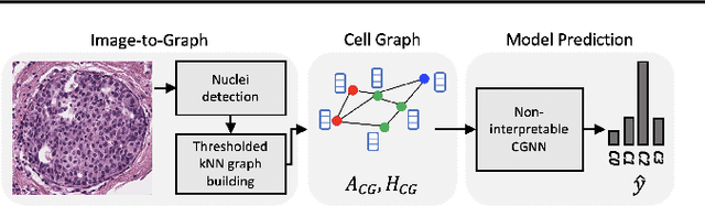 Figure 1 for Towards Explainable Graph Representations in Digital Pathology