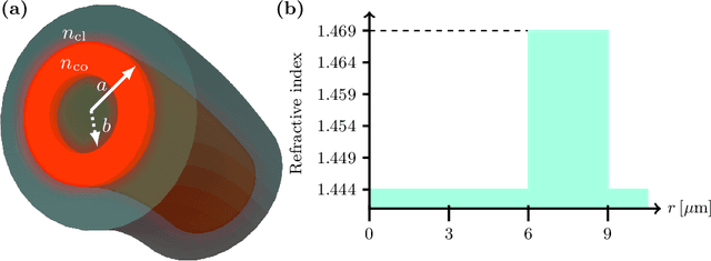 Figure 1 for Optimal conditions for multiplexing information into ring-core optical fibers