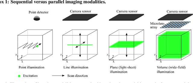 Figure 1 for Light-Field Microscopy for optical imaging of neuronal activity: when model-based methods meet data-driven approaches