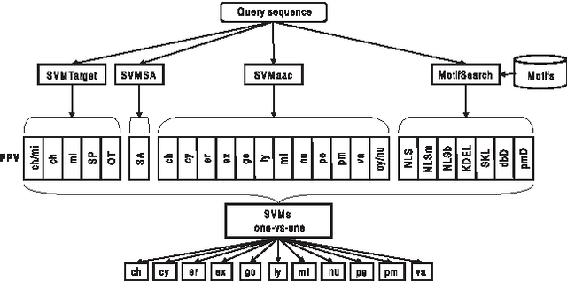Figure 1 for Convolutional LSTM Networks for Subcellular Localization of Proteins