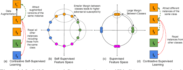 Figure 1 for On Higher Adversarial Susceptibility of Contrastive Self-Supervised Learning