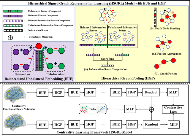 Figure 1 for Contrastive Brain Network Learning via Hierarchical Signed Graph Pooling Model