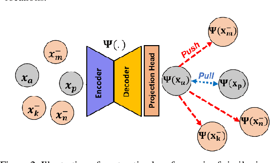 Figure 2 for Learning to segment with limited annotations: Self-supervised pretraining with regression and contrastive loss in MRI