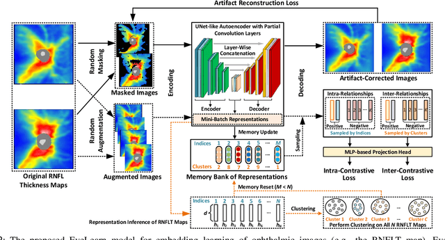 Figure 2 for Artifact-Tolerant Clustering-Guided Contrastive Embedding Learning for Ophthalmic Images