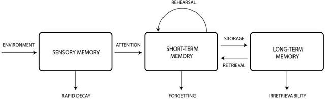 Figure 2 for A Computational Architecture for Machine Consciousness and Artificial Superintelligence: Updating Working Memory Iteratively