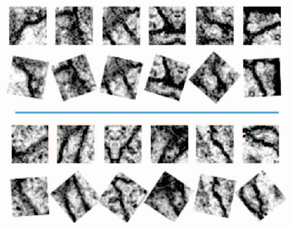 Figure 3 for TI-POOLING: transformation-invariant pooling for feature learning in Convolutional Neural Networks