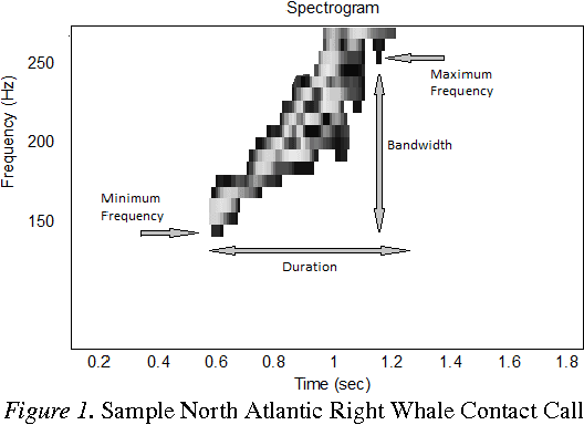Figure 2 for North Atlantic Right Whale Contact Call Detection