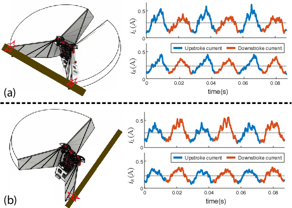 Figure 3 for Acting Is Seeing: Navigating Tight Space Using Flapping Wings