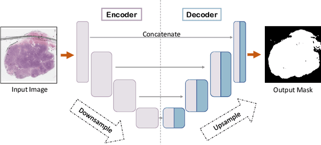 Figure 2 for A Comparative Study of U-Net Topologies for Background Removal in Histopathology Images
