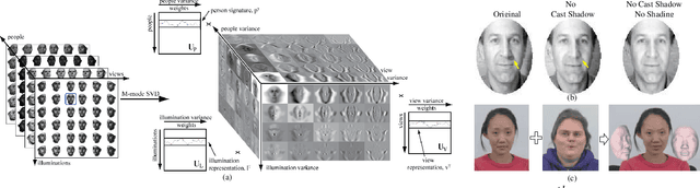 Figure 1 for Compositional Hierarchical Tensor Factorization: Representing Hierarchical Intrinsic and Extrinsic Causal Factors