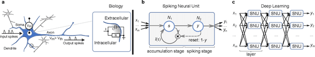 Figure 1 for Deep Networks Incorporating Spiking Neural Dynamics