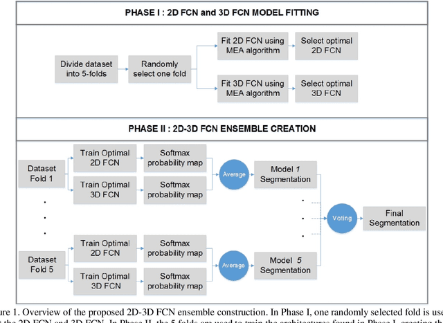 Figure 1 for Self-Adaptive 2D-3D Ensemble of Fully Convolutional Networks for Medical Image Segmentation
