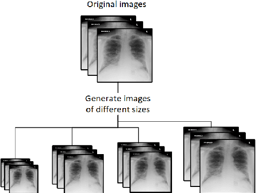 Figure 3 for Deep learning pipeline for image classification on mobile phones