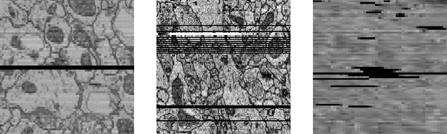 Figure 1 for Bridging the Gap: Point Clouds for Merging Neurons in Connectomics