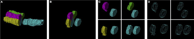 Figure 3 for Bridging the Gap: Point Clouds for Merging Neurons in Connectomics